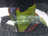 1FATP8UH1K5****** Used 2019 Ford Mustang in Atlanta South