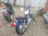 JYAVG04E1DA****** Salvamento y Destrozados 2013 Yamaha Virago 250 (V-Star) en Estado de Illinois