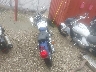 JYAVG04E1DA****** Salvamento y Reparables 2013 Yamaha Virago 250 (V-Star) en Estado de Illinois
