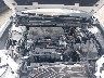 4T1C11AK4LU****** Reparables 2020 Toyota Camry en Cleveland