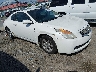 1N4AL24E28C****** Salvamento y Destrozados 2008 Nissan Altima en Nashville