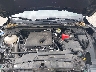 1FMCU9G64LU****** Reparables 2020 Ford Escape en South Bend