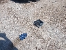 1FMCU0G65LU****** Wrecked 2020 Ford Escape in Texas State