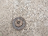 1FTEW1CP7GK****** Wrecked 2016 Ford F-150 in Texas State