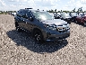5FNYF5H63MB****** Salvamento y Destrozados 2021 Honda Pilot en Jacksonville