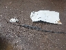 1G1ZD5ST9LF****** Wrecked 2020 Chevrolet Malibu in Oklahoma State