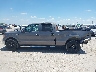 1FTFW1CF4DK****** Salvage 2013 Ford F-150