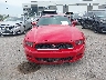 1ZVBP8AM4D5****** Destrozados 2013 Ford Mustang en Estado de Texas