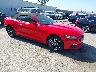 1FATP8UHXH5****** Salvamento y Destrozados 2017 Ford Mustang en San Diego