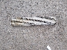 3GKALVEGXRL****** Wrecked 2024 GMC Terrain in New Mexico State