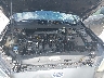 3FA6P0D91LR****** Reparables 2020 Ford Fusion en Tampa North