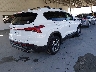 5NMS24AJ6PH****** Salvage and Wrecked 2023 Hyundai Santa Fe in Florida State