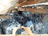 2T3BF4DV6BW****** Reparables 2011 Toyota RAV4 en Minneapolis Saint Paul
