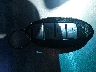 1HGCR2F74DA****** Salvage 2013 Honda Accord in Nevada State