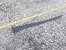 7SAYGDEE7TA****** Salvage 2026 Tesla Model Y in Florida State