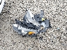 KNDPM3AC9J7****** Wrecked 2018 Kia Sportage in Ohio State