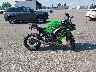 ML5EXEP1XRD****** Destrozados 2024 Kawasaki Ninja 650 en Estado de Colorado
