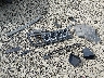 3C4NJDAB8JT****** Wrecked 2018 Jeep Compass in Oregon State