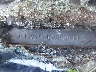 JN1CV6AR7CM****** Used 2012 Infiniti G37 in Jacksonville