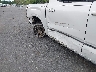 5TFWA5DB8TX****** Repairable 2026 Toyota Tundra
