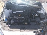 3KPF54AD0PE****** Repairable 2023 Kia Forte in Buckhannon
