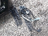 1N4BL4BV6LC****** Wrecked 2020 Nissan Altima in Florida State