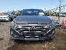 5NPD84LF9LH****** Used 2020 Hyundai Elantra in Louisiana State