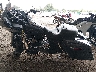 1HD1FS4129Y****** Wrecked 2009 Harley-Davidson Fltr in Ohio State