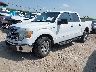 1FTEW1CM8DK****** Usados y Reparables 2013 Ford F-150 en San Antonio South