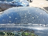 2C3CDYAGXDH****** Repairable 2013 Dodge Challenger