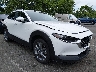 3MVDMBCM9RM****** Salvage and Wrecked 2024 Mazda CX-30 in Englishtown
