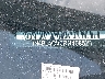 1N4BL4CV0RN****** Repairable 2024 Nissan Altima