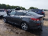 5XXGT4L31KG****** Salvamento y Reparables 2019 Kia Optima en Raleigh
