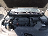 5NPE24AF8HH****** Reparables 2017 Hyundai Sonata en Taunton