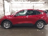 1FMCU9G61MU****** Reparables 2021 Ford Escape en Estado de Minnesota