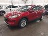 1FMCU9G61MU****** Usados y Reparables 2021 Ford Escape en Saint Cloud
