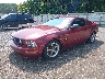 1ZVFT82H455****** Usados y Reparables 2005 Ford Mustang en Knoxville