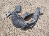 5XYZU3LA4HG****** Wrecked 2017 Hyundai Santa Fe in Ohio State