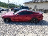 1FA6P8CF3L5****** Repairable 2020 Ford Mustang in Kentucky State