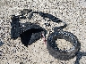 1FA6P8CF3L5****** Salvage 2020 Ford Mustang in Kentucky State
