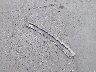 1FMCU0H67LU****** Destrozados 2020 Ford Escape en Estado de Texas