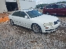 WAUML44EX5N****** Salvage and Wrecked 2005 Audi A8 in Gulf Coast