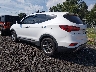 5XYZUDLB2JG****** Salvage and Repairable 2018 Hyundai Santa Fe in Greenville