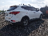 5XYZUDLB2JG****** Salvage and Wrecked 2018 Hyundai Santa Fe in South Carolina State