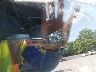 1C3CCCAB7GN****** Used and Repairable 2016 Chrysler 200 in Kentucky State