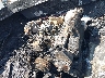 SERA649**** Repairable 1991 Sea Ray Other in Fontana
