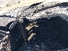 SERA649**** Salvage 1991 Sea Ray Other in Fontana