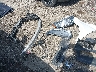 2HKRW1H96JH****** Repairable 2018 Honda CR-V