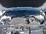 5XYP6DHC1LG****** Reparables 2020 Kia Telluride en Long Island