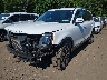 5XYP6DHC1LG****** Usados y Reparables 2020 Kia Telluride en Long Island